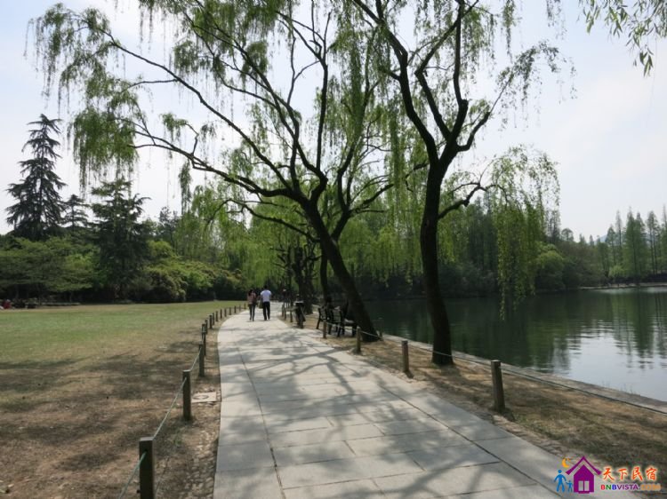 %E8%8A%B1%E6%B8%AF%E8%A7%82%E9%B1%BC%20012