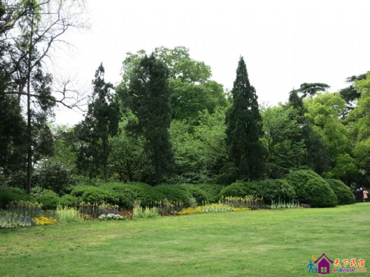 %E8%8A%B1%E6%B8%AF%E8%A7%82%E9%B1%BC%20006