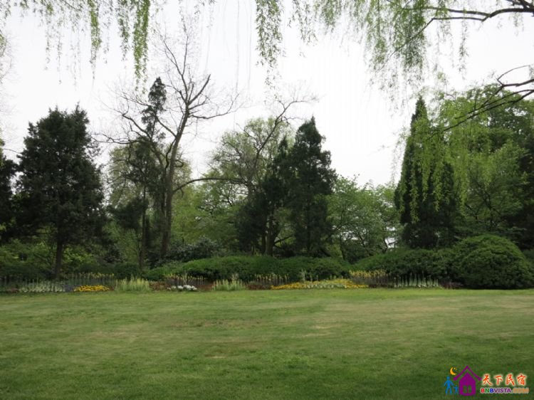 %E8%8A%B1%E6%B8%AF%E8%A7%82%E9%B1%BC%20009