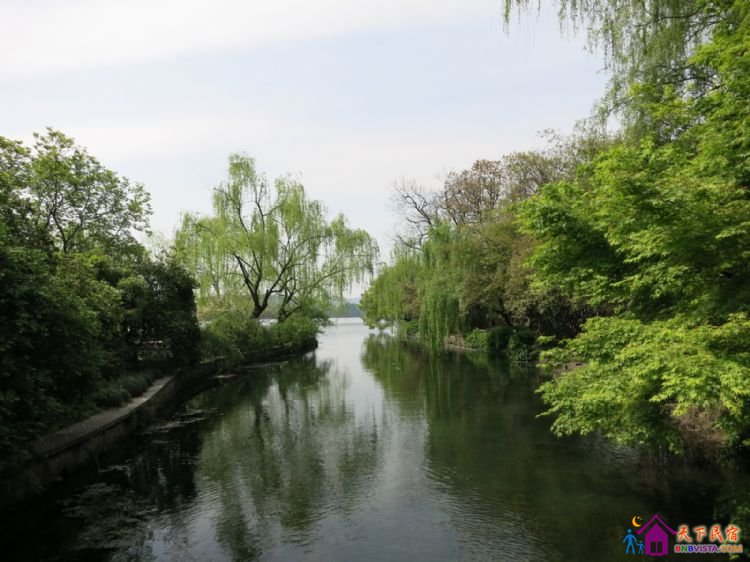 %E8%8A%B1%E6%B8%AF%E8%A7%82%E9%B1%BC%20048