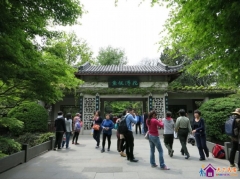 <b>【浙江】春光明媚西湖游（3）：花港观鱼</b>