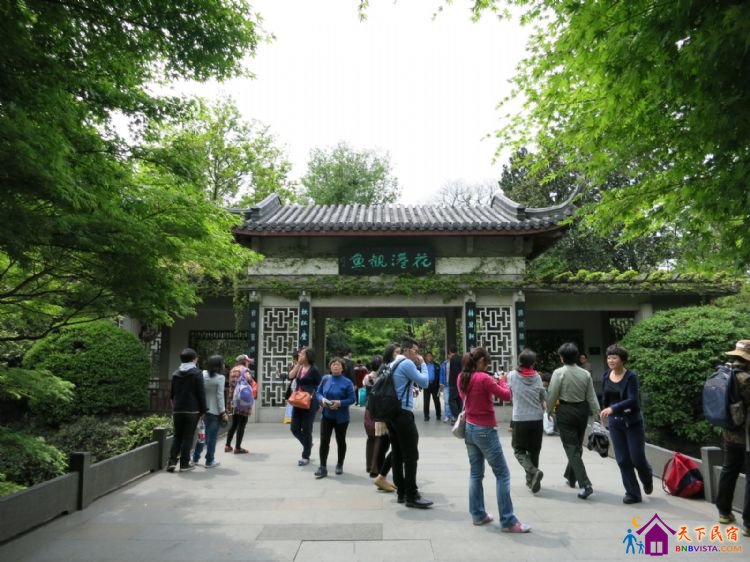 %E8%8A%B1%E6%B8%AF%E8%A7%82%E9%B1%BC%20001