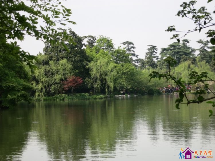 %E8%8A%B1%E6%B8%AF%E8%A7%82%E9%B1%BC%20037