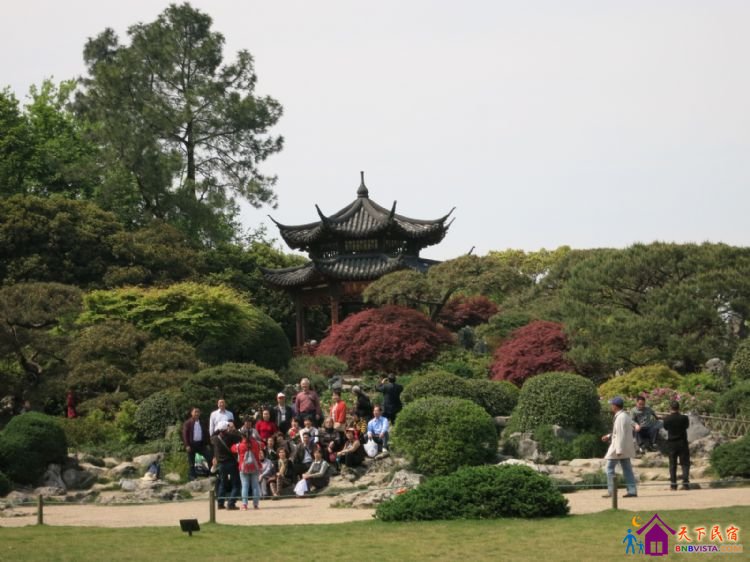 %E8%8A%B1%E6%B8%AF%E8%A7%82%E9%B1%BC%20031