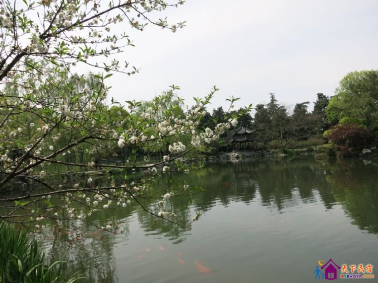 %E8%8A%B1%E6%B8%AF%E8%A7%82%E9%B1%BC%20025