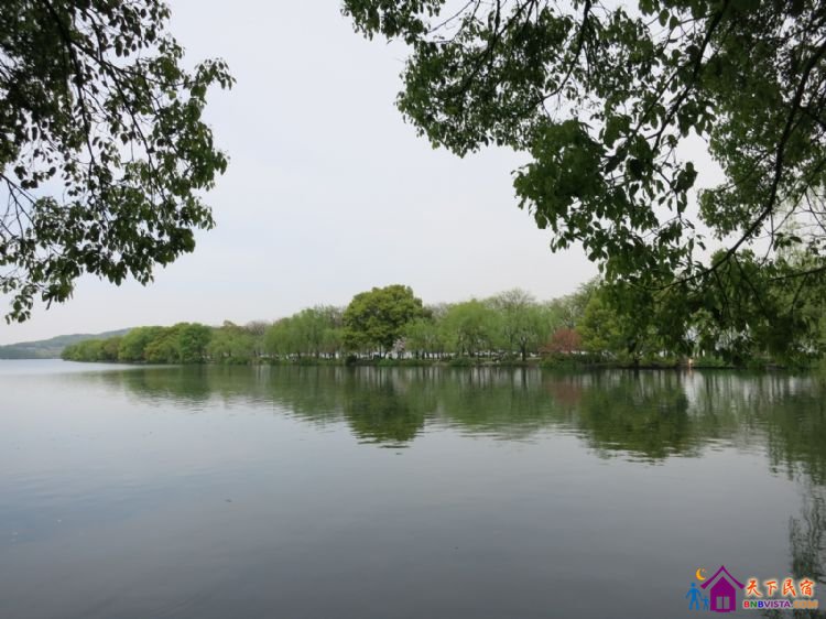 %E8%8A%B1%E6%B8%AF%E8%A7%82%E9%B1%BC%20002