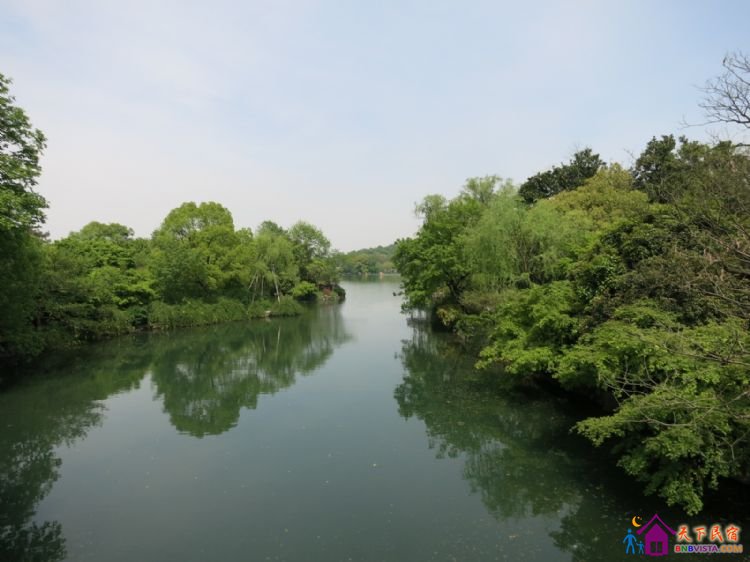 %E8%8A%B1%E6%B8%AF%E8%A7%82%E9%B1%BC%20029