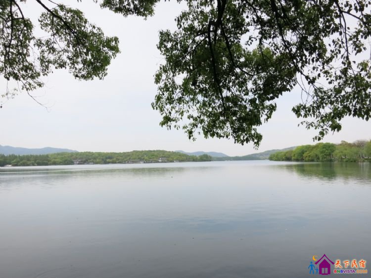 %E8%8A%B1%E6%B8%AF%E8%A7%82%E9%B1%BC%20003