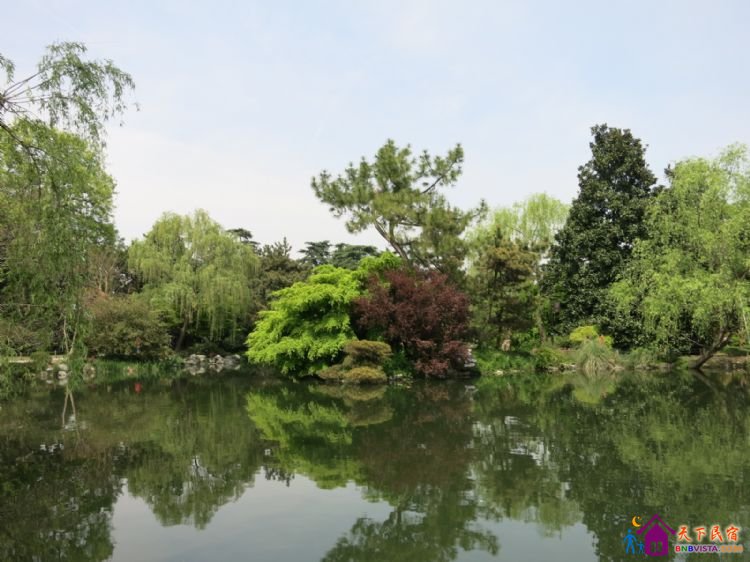 %E8%8A%B1%E6%B8%AF%E8%A7%82%E9%B1%BC%20017