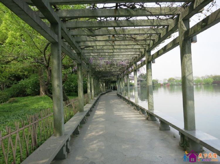 %E8%8A%B1%E6%B8%AF%E8%A7%82%E9%B1%BC%20039