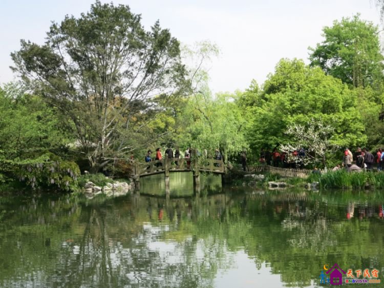 %E8%8A%B1%E6%B8%AF%E8%A7%82%E9%B1%BC%20015