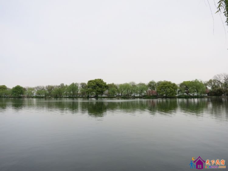 %E8%8A%B1%E6%B8%AF%E8%A7%82%E9%B1%BC%20008