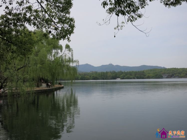 %E8%8A%B1%E6%B8%AF%E8%A7%82%E9%B1%BC%20005