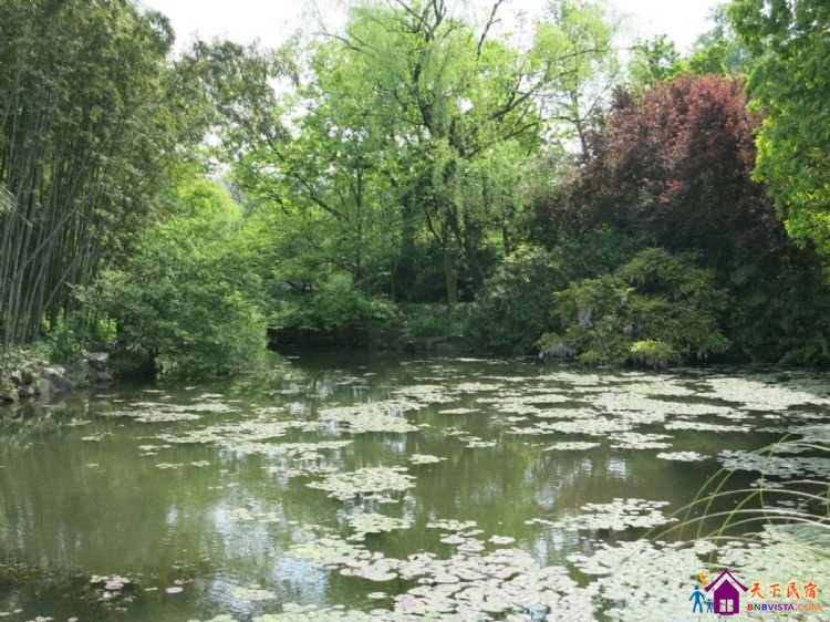 %E8%8A%B1%E6%B8%AF%E8%A7%82%E9%B1%BC%20034