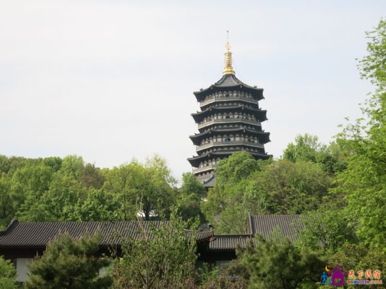 %E9%9B%B7%E5%B3%B0%E5%A1%94%20005