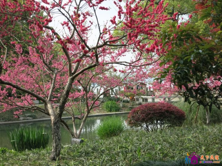 %E6%BB%A8%E6%B9%96%E8%B7%AF%20026