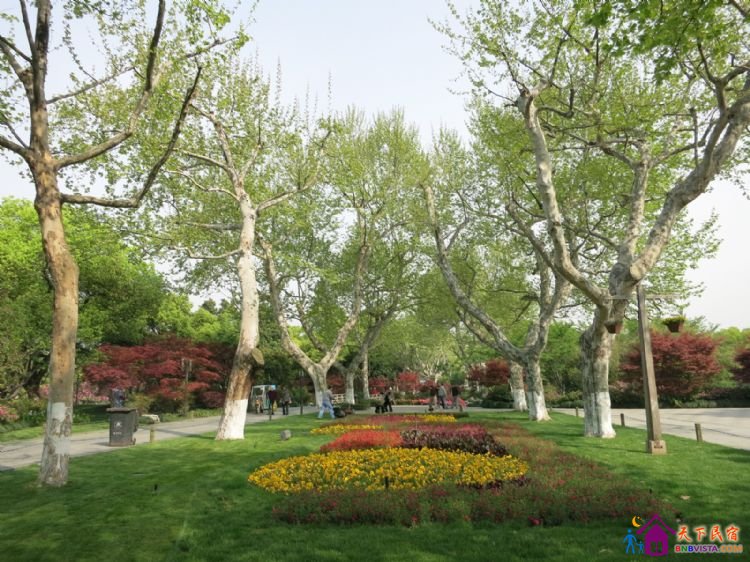 %E6%BB%A8%E6%B9%96%E8%B7%AF%20012