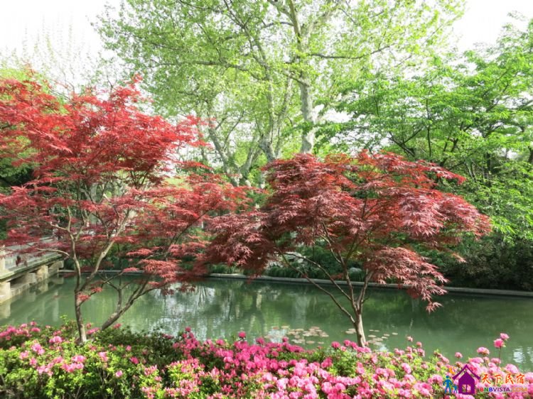 %E6%BB%A8%E6%B9%96%E8%B7%AF%20017