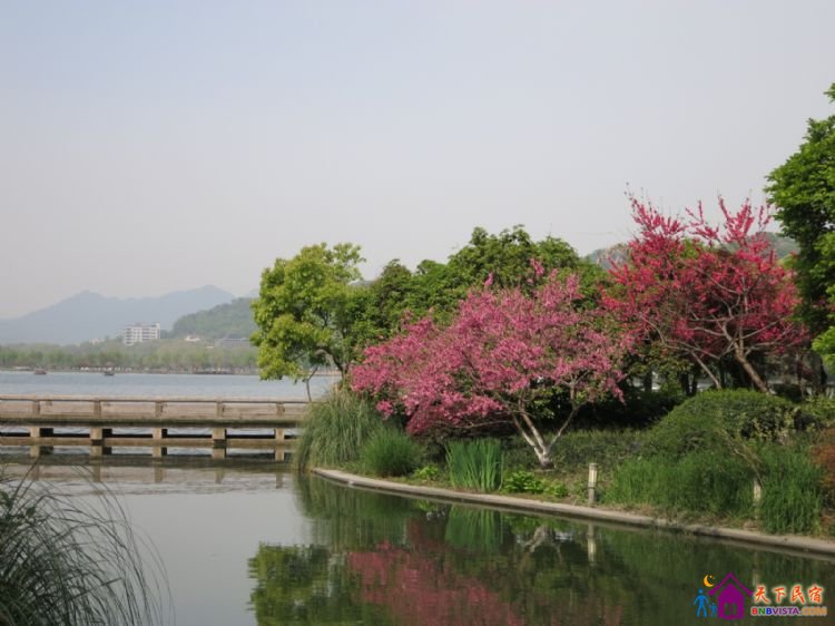 %E6%BB%A8%E6%B9%96%E8%B7%AF%20018