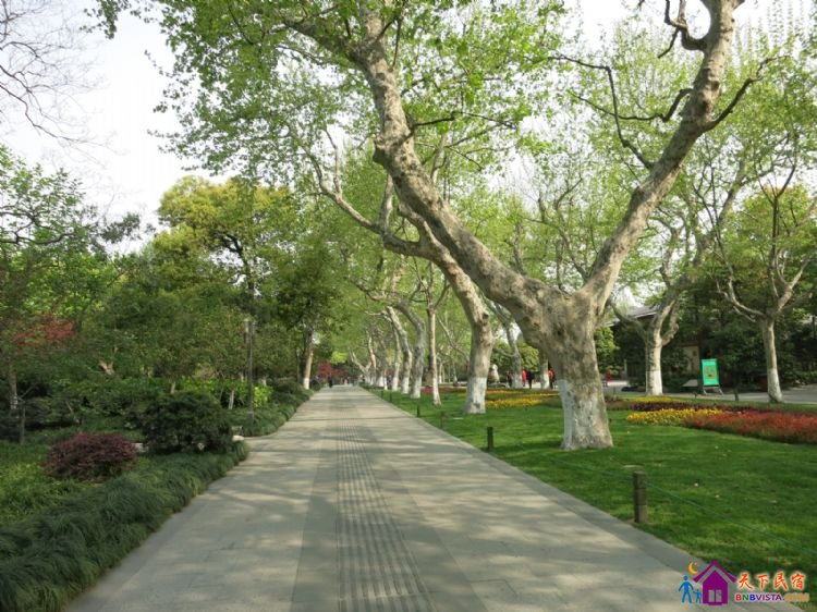 %E6%BB%A8%E6%B9%96%E8%B7%AF%20009