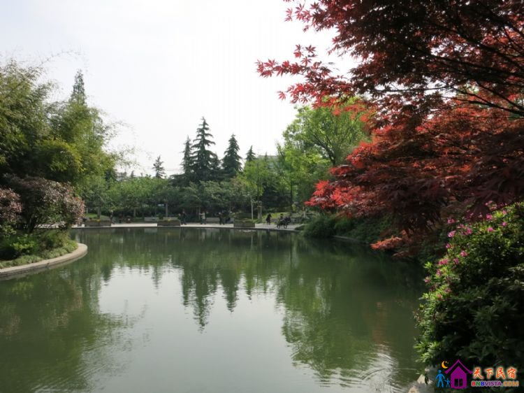 %E6%BB%A8%E6%B9%96%E8%B7%AF%20016