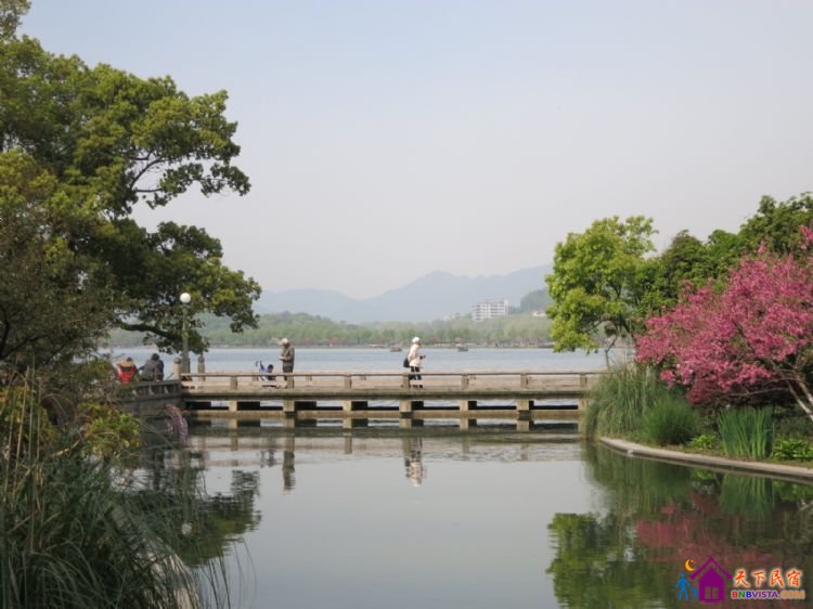 %E6%BB%A8%E6%B9%96%E8%B7%AF%20019