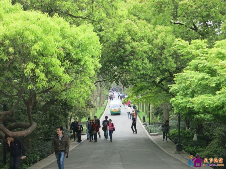 %E8%8B%8F%E5%A0%A4%20006