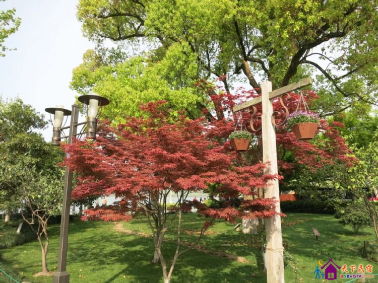 %E6%BB%A8%E6%B9%96%E8%B7%AF%20005