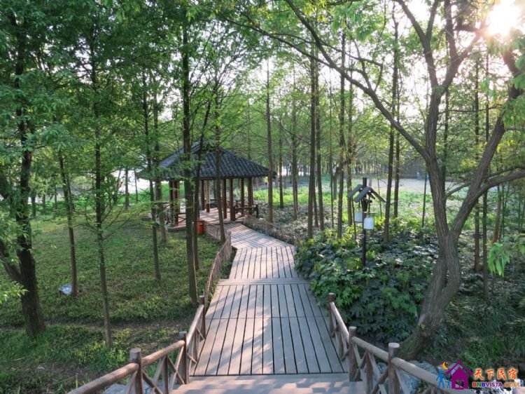 %E6%9D%A8%E5%85%AC%E5%A0%A4%20012