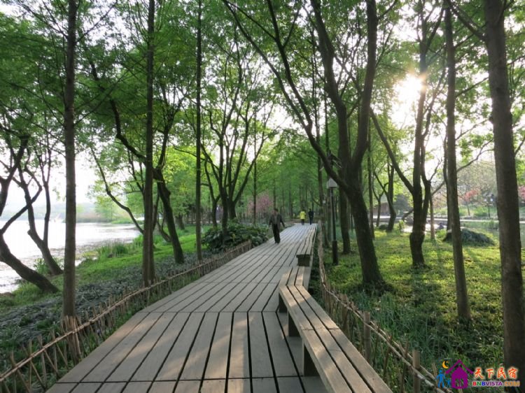 %E6%9D%A8%E5%85%AC%E5%A0%A4%20010