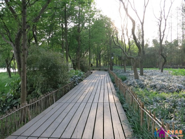 %E6%9D%A8%E5%85%AC%E5%A0%A4%20013