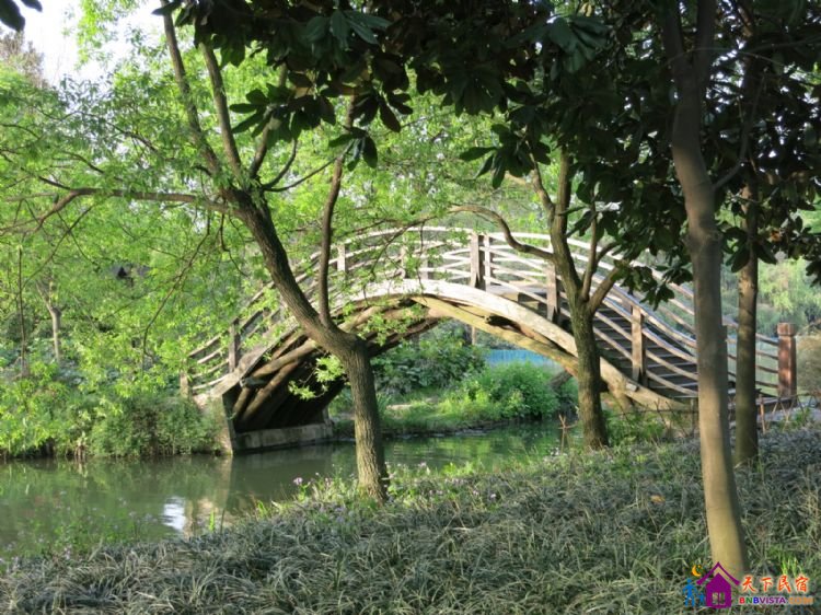 %E6%9D%A8%E5%85%AC%E5%A0%A4%20009