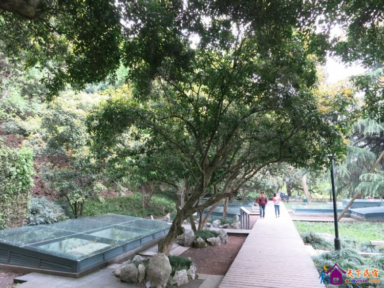 %E4%B8%AD%E5%B1%B1%E5%85%AC%E5%9B%AD%20012