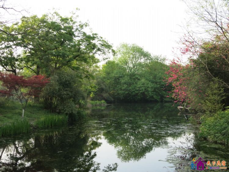 %E6%9D%A8%E5%85%AC%E5%A0%A4%20004