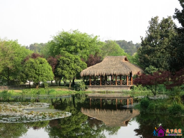 %E6%9D%A8%E5%85%AC%E5%A0%A4%20006