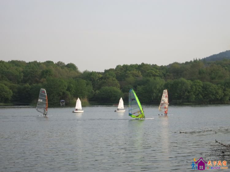 %E6%9D%A8%E5%85%AC%E5%A0%A4%20011