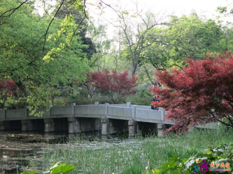 %E6%9D%A8%E5%85%AC%E5%A0%A4%20002