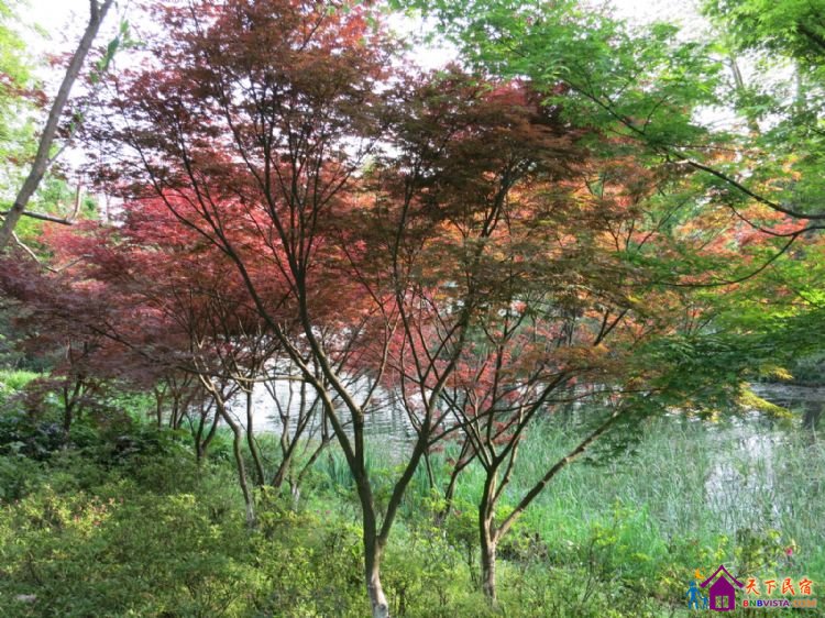 %E6%9D%A8%E5%85%AC%E5%A0%A4%20003