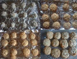 coconut cookie