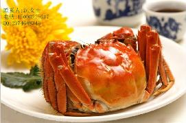 阳澄湖5对装大闸蟹（雄蟹 3.2 两 ，雌蟹 2.2 两）380.00 元1盒