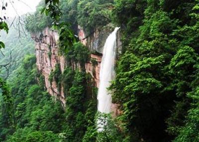 重庆大窝铺原始森林