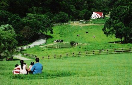 苗栗飞牛牧场