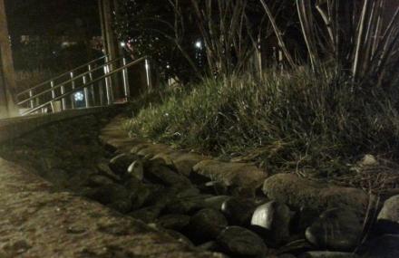 天津团泊湖温泉