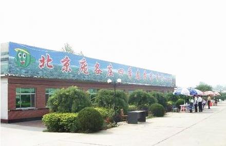 北京庞各庄四季春农艺园