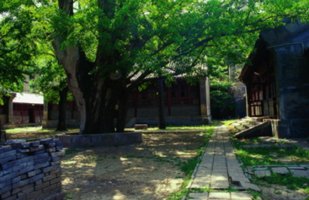 北京金仙庵遗址