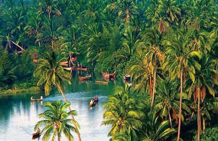 文昌八门湾红树林