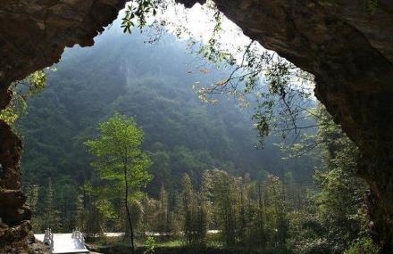 宜昌湖北三峡竹海