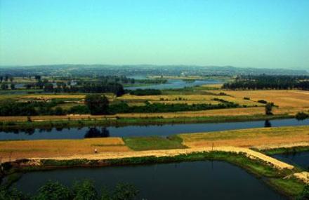 济源黄河西滩