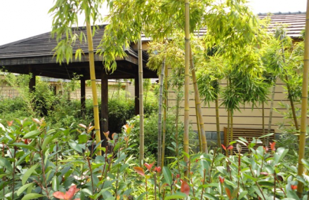 咸宁太乙国际温泉度假村