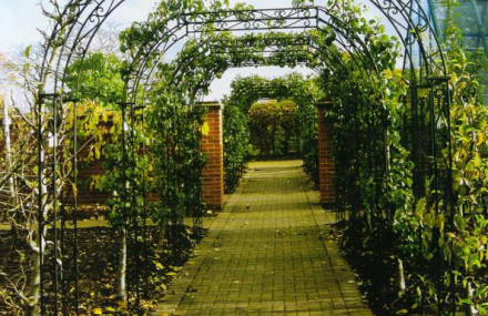 北京延庆采摘度假园苏庄